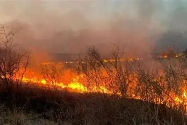 Continuará el riesgo por incendios, especialmente en zonas cordilleranas de Chubut y Río Negro.