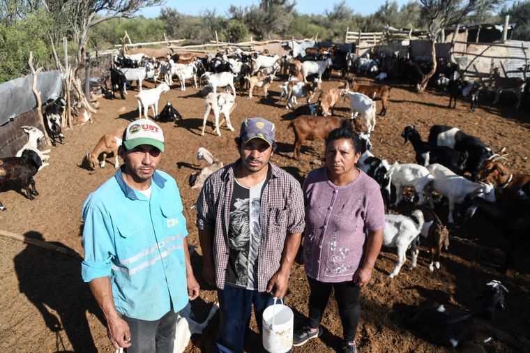 Chuchín, Abel y Griselda dentro del corral de cabras que tienen en el puesto La Verde. Foto: Juan Ignacio Blanco/MDZ