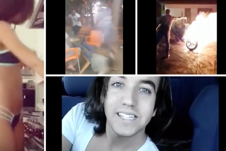 Los mejores videos enviados por WhatsApp en noviembre
