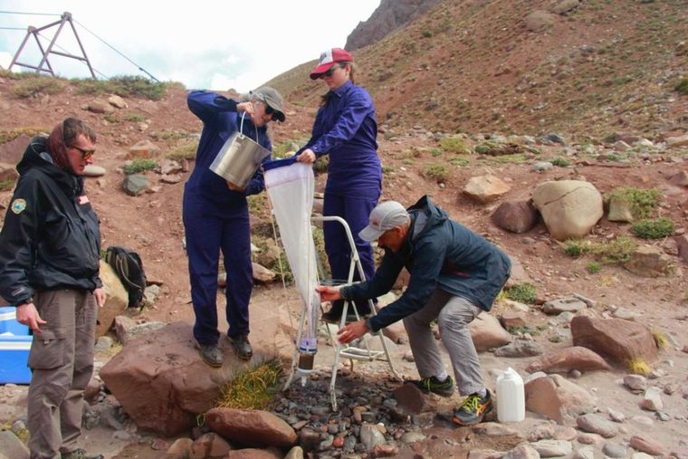 Técnicos, autoridades y especialistas debatieron en Mendoza cómo enfrentar los residuos plásticos en alta montaña y realizaron tareas de campo en Horcones.