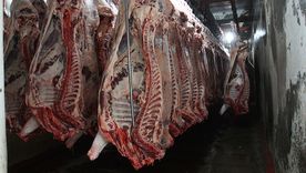 De continuar el alza en la exportación de carne, se podría alcanzar un récord histórico equivalente al 30% de la producción local. Foto: Pachy Reynoso/MDZ