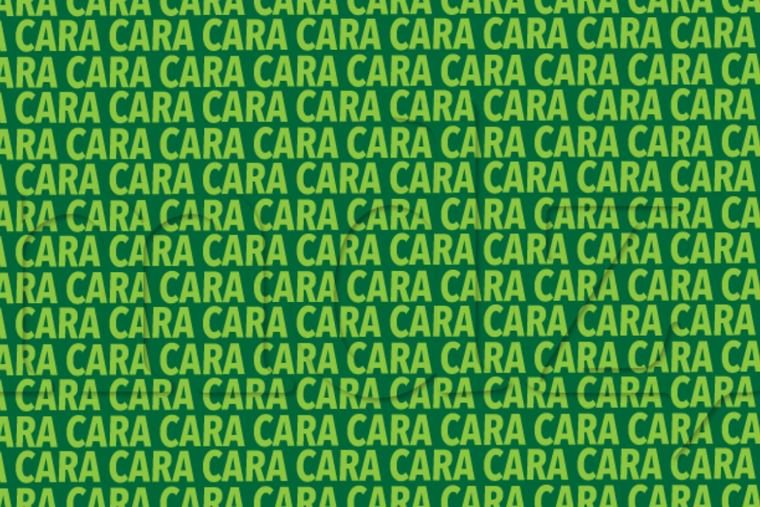 ACERTIJO VISUAL ACERTIJO VISUAL, RETO VISUAL, PALABRA Foto: MDZ ONLINE