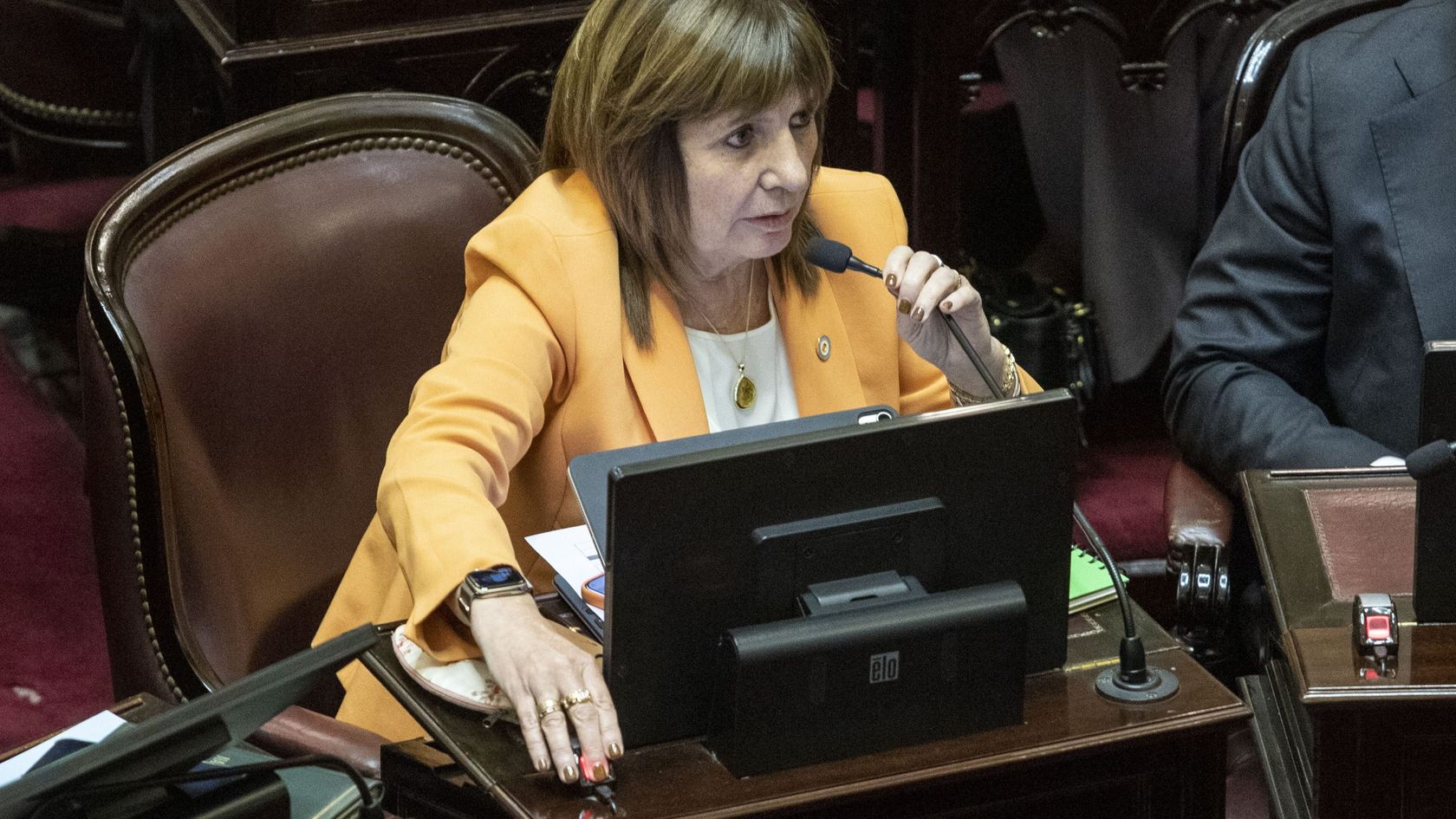 Patricia Bullrich, jefa del bloque LLA en el Senado