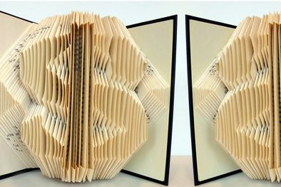 MDZol | Foto: vox.com.mx