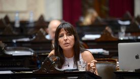 La diputada nacional de la UCR, Pamela Verasay, en la Cámara de Diputados. Foto: X @PameVerasay