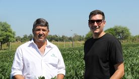Con un esquema intensivo basado en soja, Diego y Gabriel Soneira combinan tecnología, lluvias y suelos para impulsar una doble cosecha exitosa en Formosa.