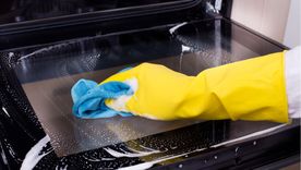 Con este truco de limpieza el horno quedará impecable. Foto: Shutterstock