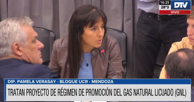 Foto: Captura de video - Diputados