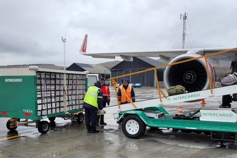 La desregulación aérea avanza y el sector de servicios de rampa es uno de los que más cambios está generando.