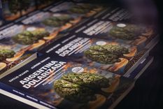 La tapa del libro Foto: Argentina Dolarizada