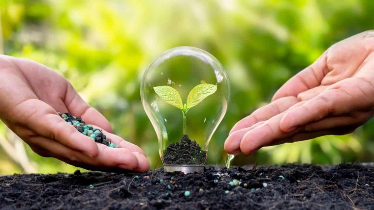 El Día Mundial del Medio Ambiente convoca a gobiernos, empresas y ciudadanos a repensar el vínculo entre desarrollo productivo y cuidado del planeta.