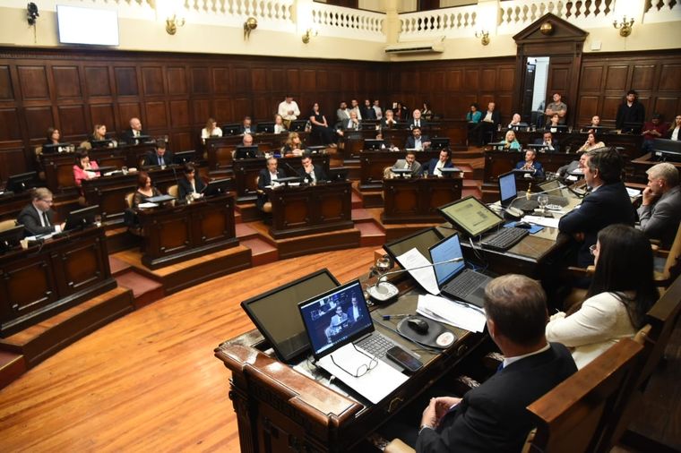 Cámara de Diputados. Foto: X @JimehLatorre