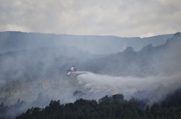 Parque Nacional Los Alerces El incendio comenzó el viernes 26 de enero Foto: Instagram /Parque Nacional Los Alerces