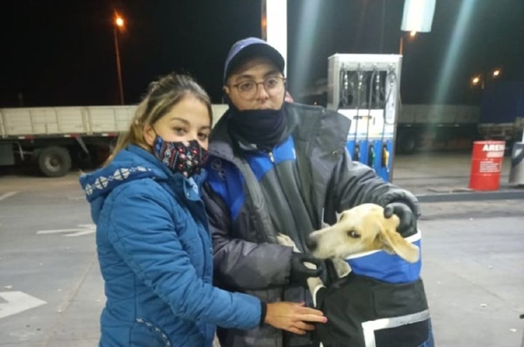 Le confeccionaron un chaleco para resguardarla del frío Foto: El Cuco Digital