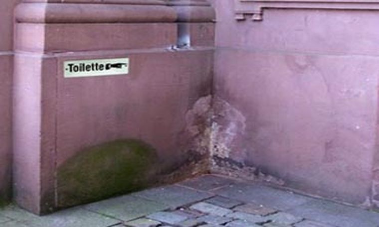 Proyecto Pee Pee