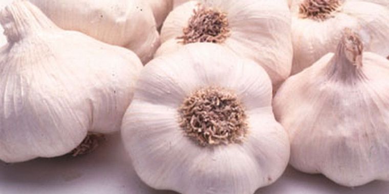 El ajo, en crisis.