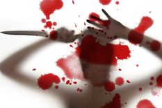 Sangre Un sueño que puede aterrar a muchos. Foto: Fuente: Shutterstock