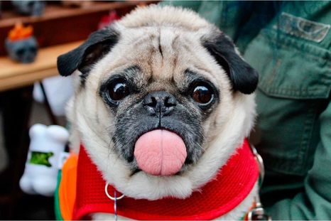 Esto fue lo que dijo la inteligencia artificial. Esto fue lo que dijo la inteligencia artificial.