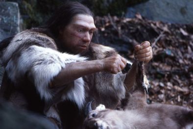 MDZol | Foto: nationalgeographic.com