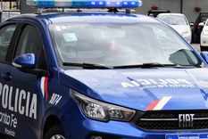 horror en santa fe: un hombre asesino a punaladas a su madre jubilada