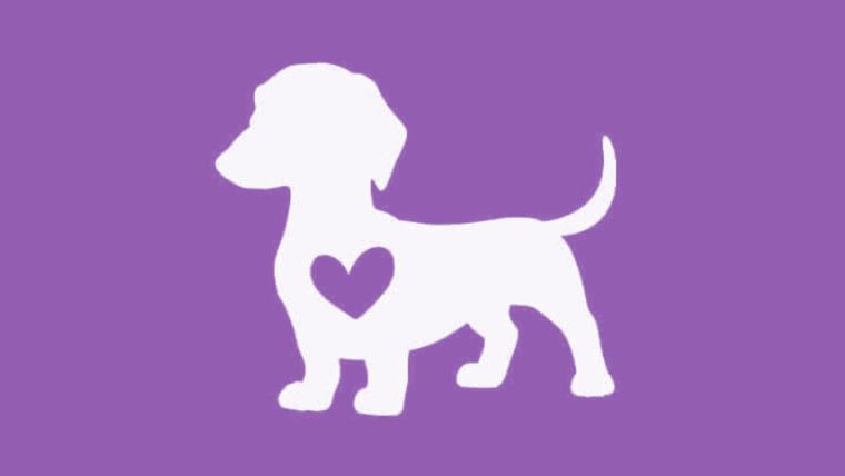 Test de personalidad