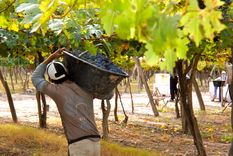 Novedades entre el INV y Lavalle.