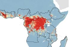 los muertos por ebola en africa suben a mas de 4.000