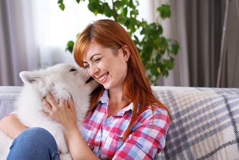 Esta es la razón por la que deberías adoptar un perro Foto: Shutterstock