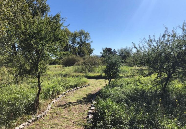 Antes en este lugar había un vertedero de residuos