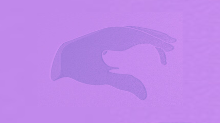 Test de personalidad