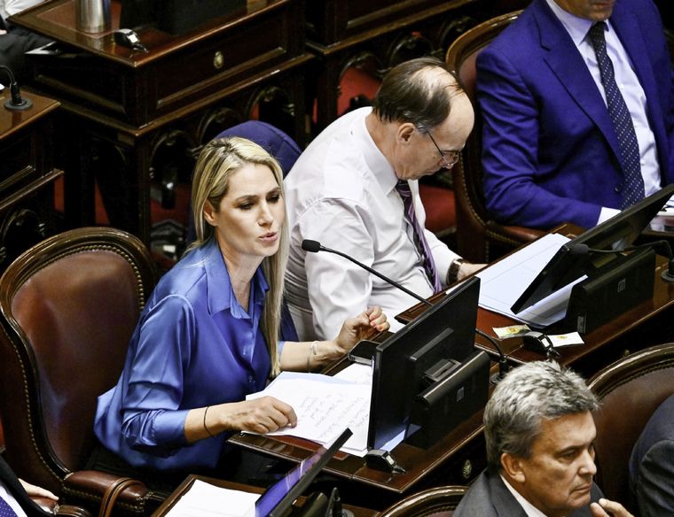 El Senado aprobó el proyecto de ley de la suspensión de las PASO. Foto: NA