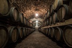 Vuelve Bodegas Abiertas el programa para que los mendocinos puedan visitar y experimentar en las bodegas. Vuelve Bodegas Abiertas el programa para que los mendocinos puedan visitar y experimentar en las bodegas.