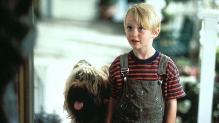As Luce Hoy A Sus 37 A os El Actor Protagonista De La Pel cula Daniel
