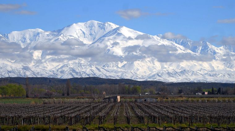 Foto: ALF PONCE MERCADO / MDZ