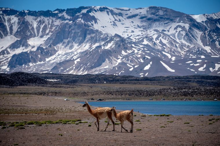 La Reserva Natural Laguna del Diamante dio inicio oficial a su temporada 2026.