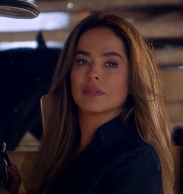 Pasión de Gavilanes