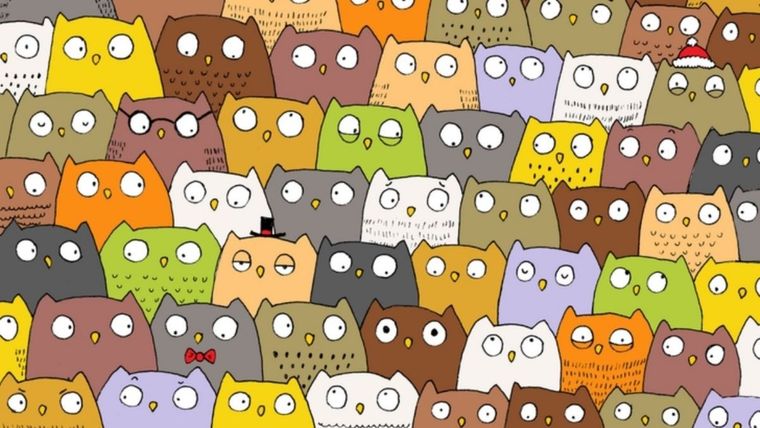 ACERTIJO VISUAL ACERTIJO VISUAL, RETO VISUAL, GATO Foto: ARCHIVO