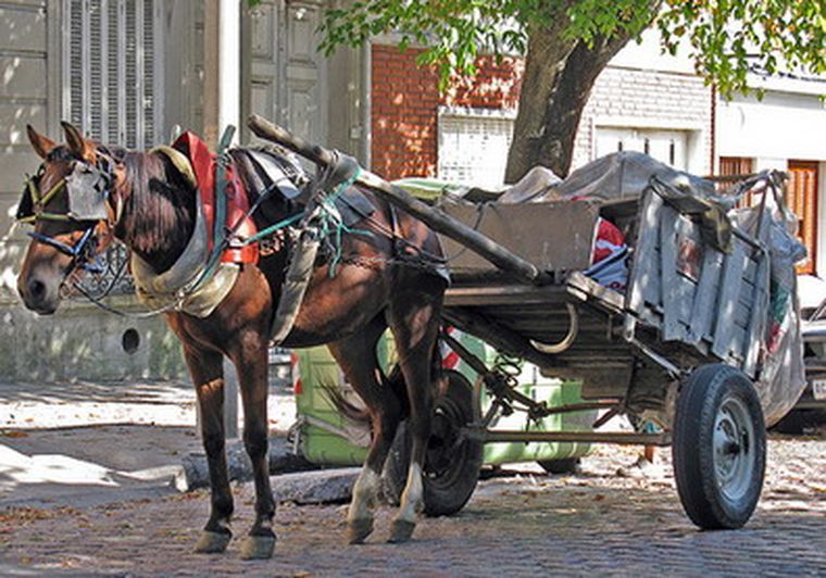 Más de cien carretelas circulan por las calles de Godoy Cruz todos los días. Foto: Web