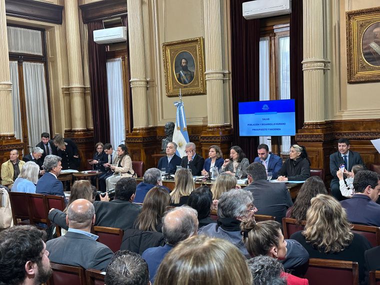 El Senado dictaminó la emergencia pediátrica y va por las universidades.