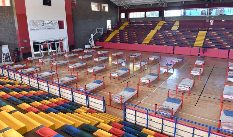 covid coronavirus cuarentena cuatro años polimeni (14)