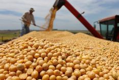 Campaña de la oleaginosa y el ingreso de dólares al país Foto: Noticias Argentinas