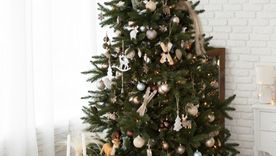 Los árboles alternativos se imponen como una tendencia navideña que apuesta por la creatividad y el reciclaje. Los árboles alternativos se imponen como una tendencia navideña que apuesta por la creatividad y el reciclaje.