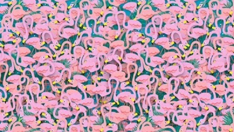 Acertijo visual, reto visual, bailarina