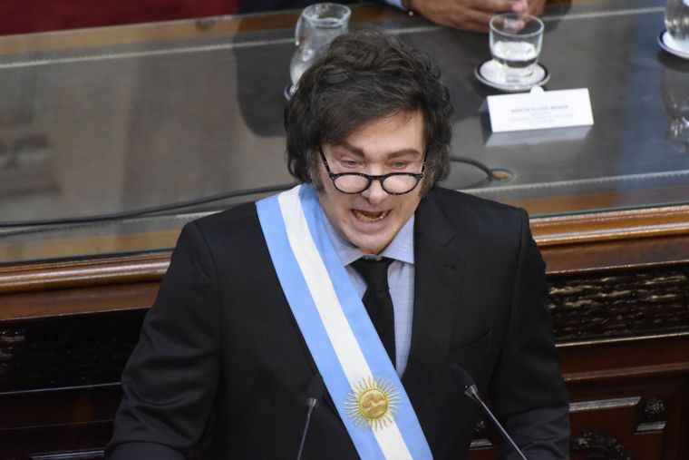 Javier Milei en el Congreso Foto: Juan Mateo Aberastain/MDZ Javier Milei en el Congreso Foto: Juan Mateo Aberastain/MDZ