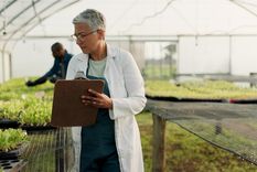 El elegido comenzará a fines de octubre Foto: Envato