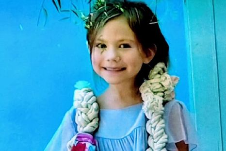 La Justicia de Mendoza ordenó la restitución de la niña mientras se intensifica el operativo para dar con su paradero en Buenos Aires. La Justicia de Mendoza ordenó la restitución de la niña mientras se intensifica el operativo para dar con su paradero en Buenos Aires.