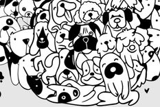 Su ubicación camuflada entre los perros hace que no sea tan fácil de detectar a simple vista. Foto: Archivo MDZ