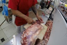 El precio de la carne ya reflejó el aumento en los mostradores Foto: ALF PONCE MERCADO / MDZ