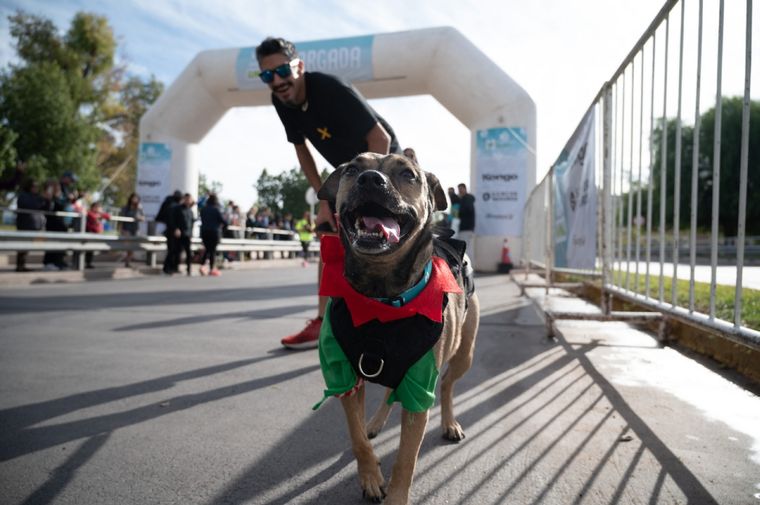 Una divertida actividad para disfrutar junto a las mascotas Foto: Prensa Ciudad de Mendoza