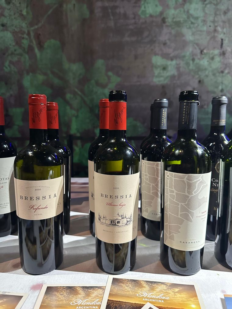En cuanto a Malbec, el de Casarena fue aplaudido por asistentes de muchos países vitivinícolas. Lo mismo sucedió con los blends de Walter Bressia. En cuanto a Malbec, el de Casarena fue aplaudido por asistentes de muchos países vitivinícolas. Lo mismo sucedió con los blends de Walter Bressia.